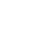 Icone - Insta